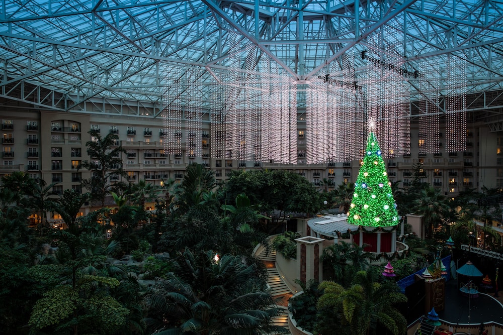 Gaylord Palms Resort & Convention Center - photo 92