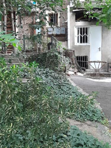 Eka's home with a beautiful garden
