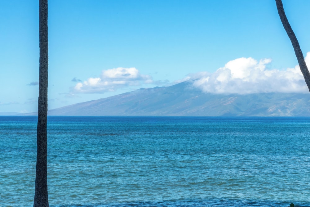 Royal Kahana Maui By Outrigger - photo 785