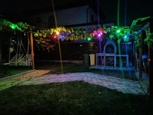 Party House 19399716 — Tunari
