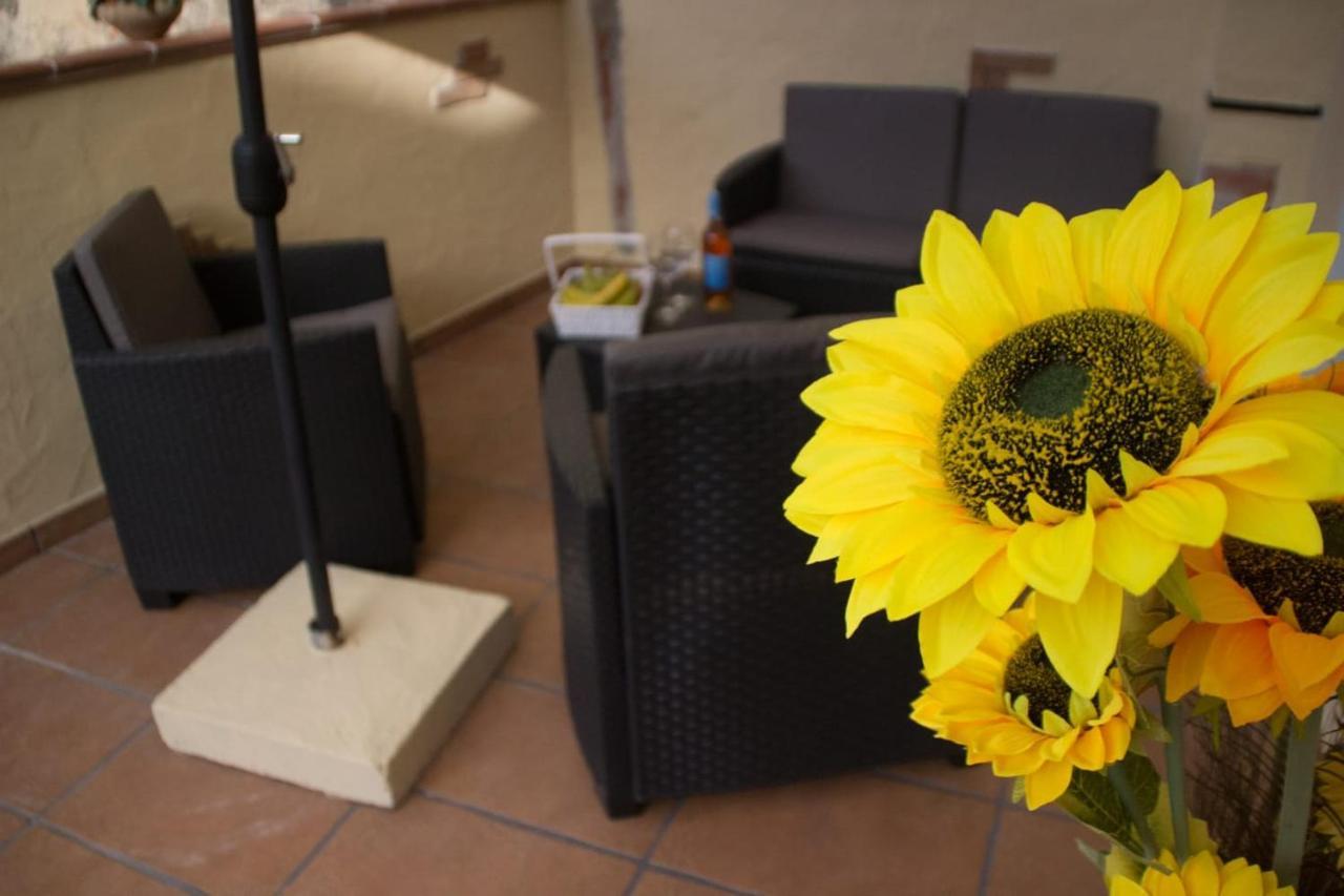 Domos la Corte Ghibellina in Iglesias, Italy