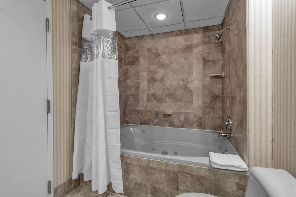 Buffalo Airport Hotel - photo 54