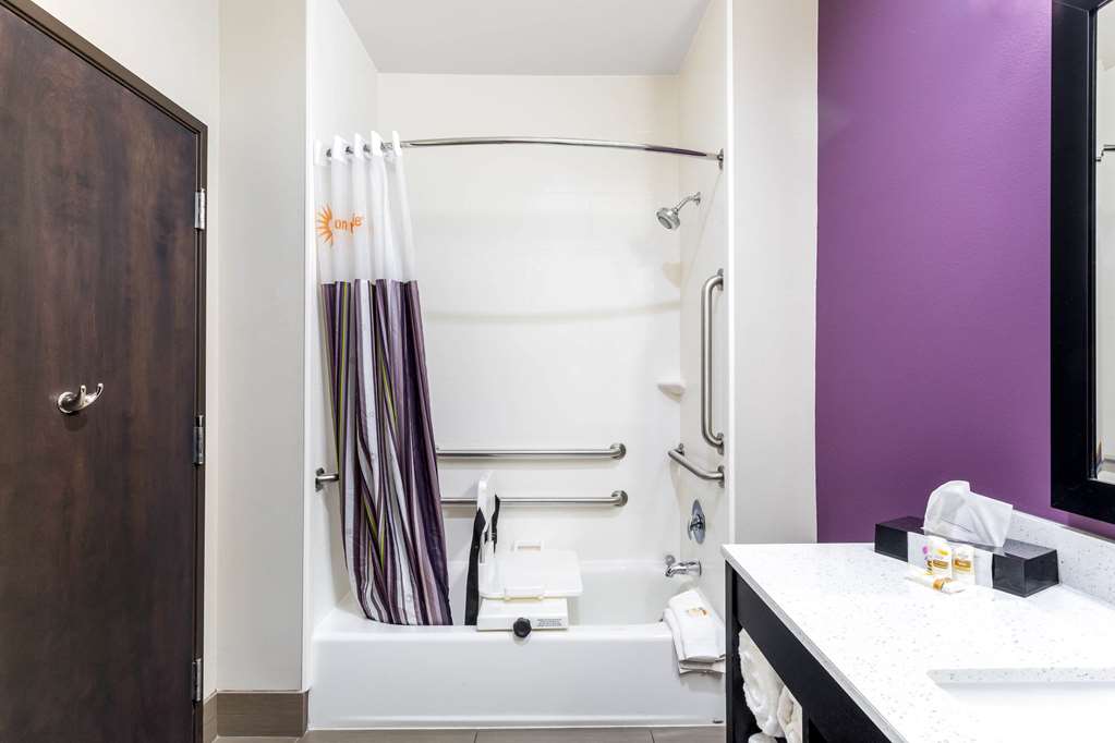 Quality Inn & Suites Colorado City TX - photo 29
