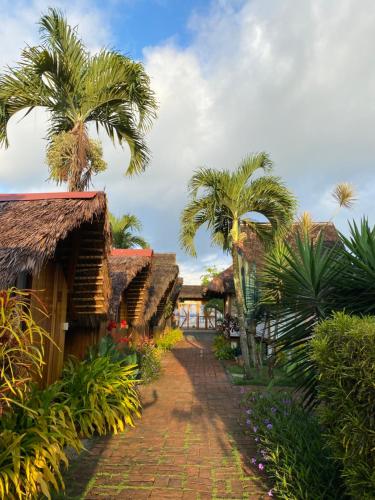 Zutalu Playa Sur — Unknown City