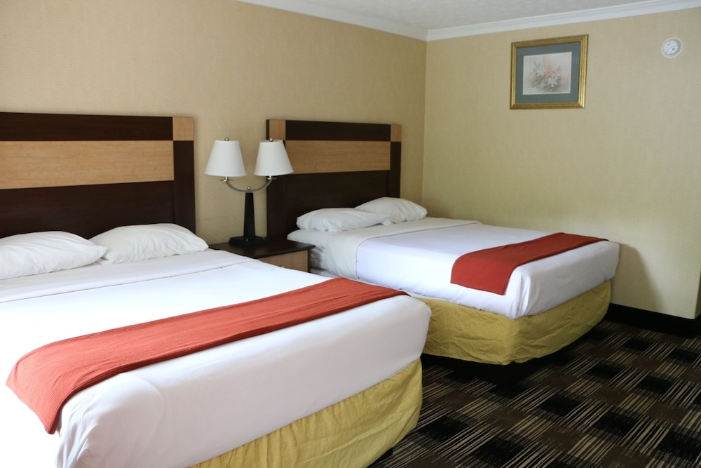 Castlewood Inn - photo 14