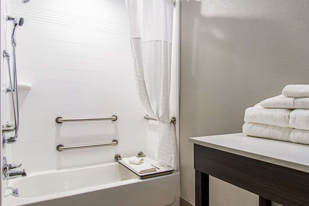 Comfort Suites Humble Houston IAH - photo 25