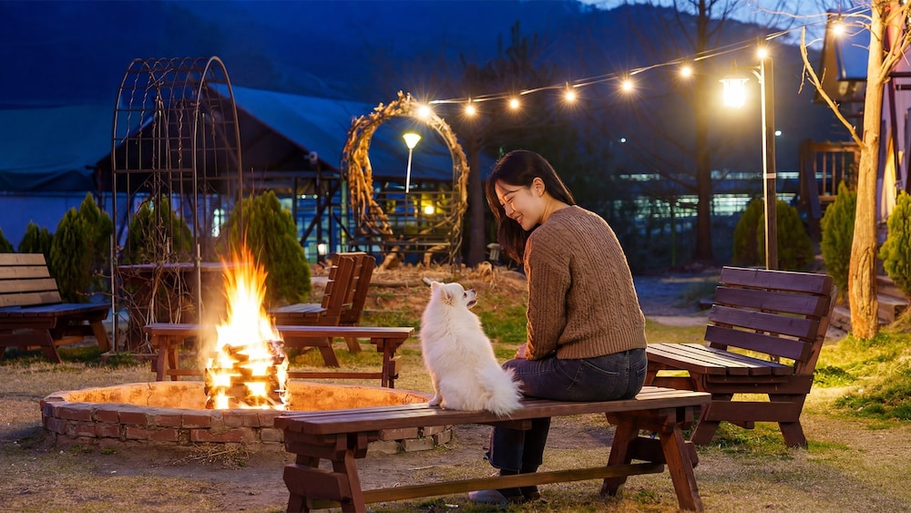 Chungju Palbong Glamping in Waegwan, South Korea