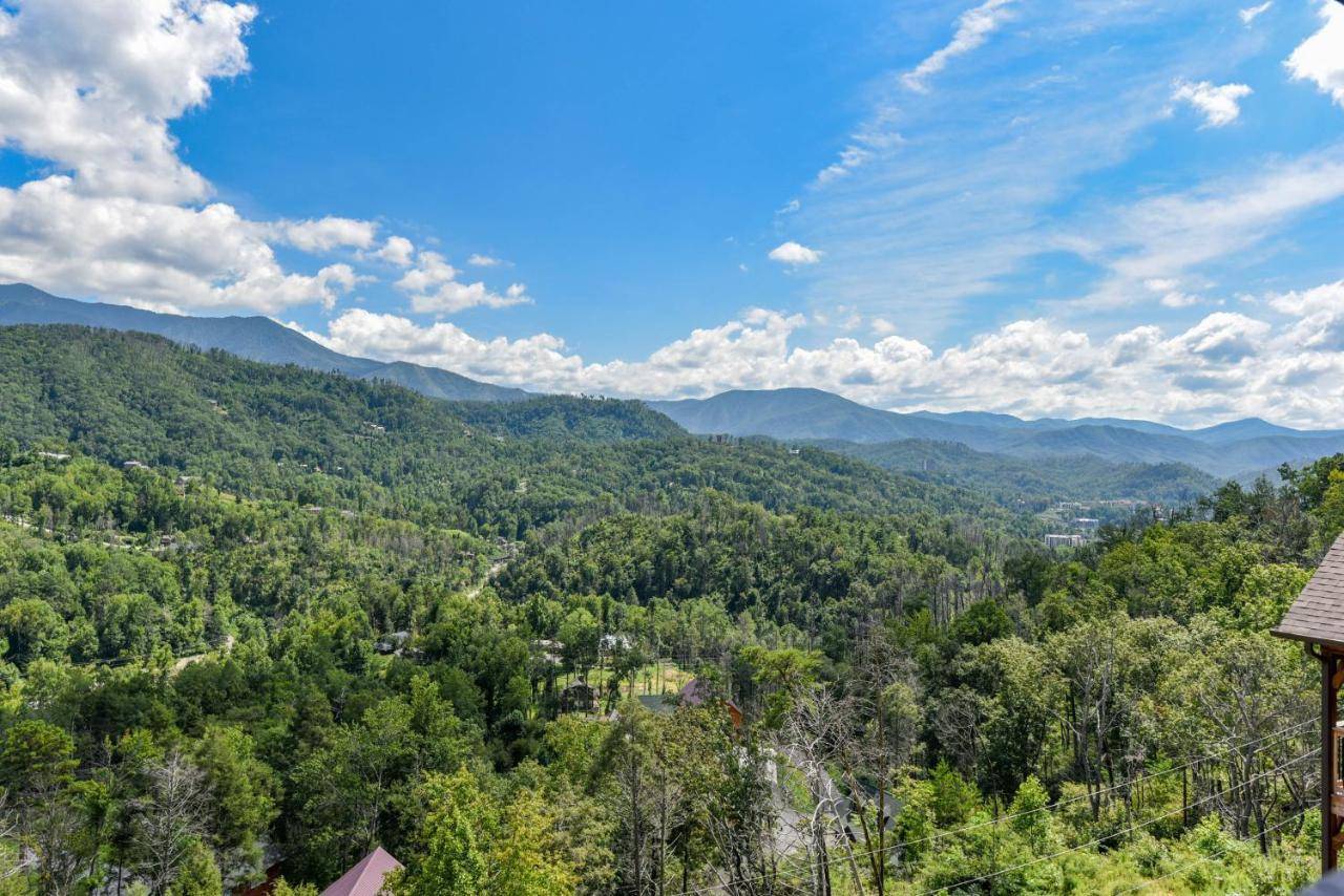 Pinnacle Vista - photo 7