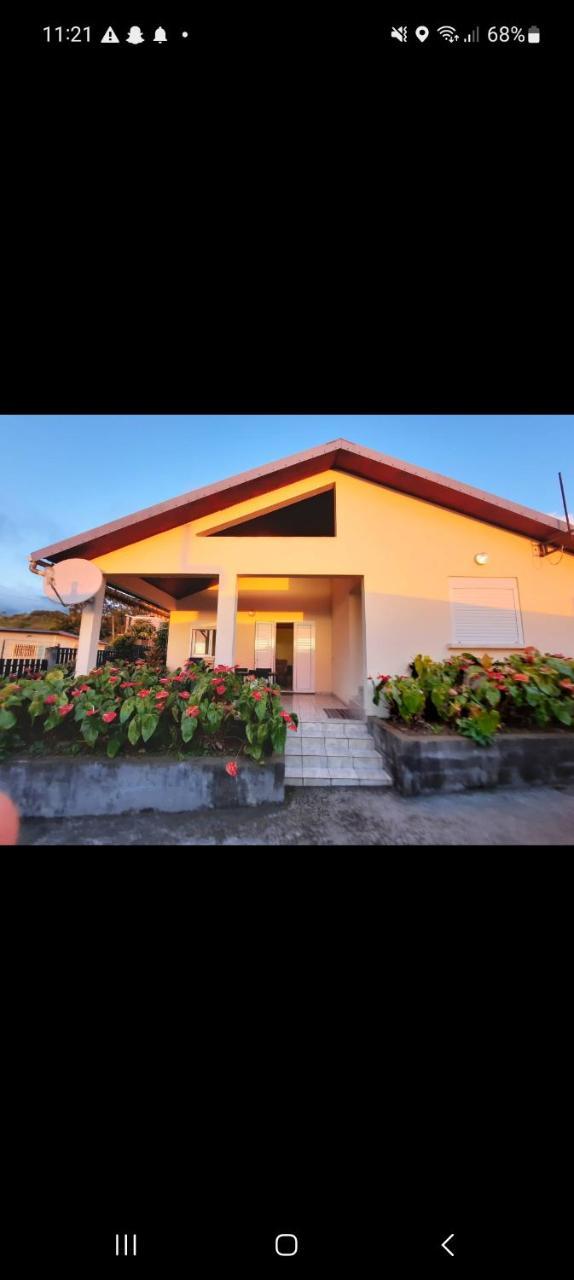 Ti kaz anturium in La Possession, Réunion