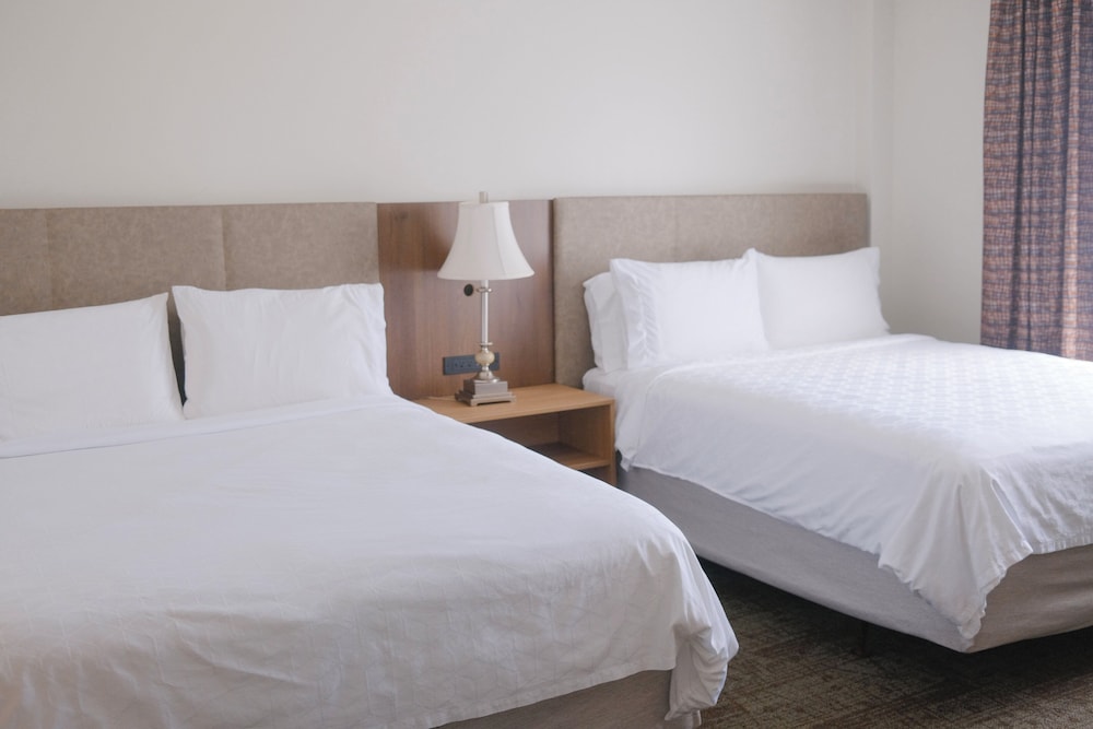Staybridge Suites Austin Airport by IHG - photo 15