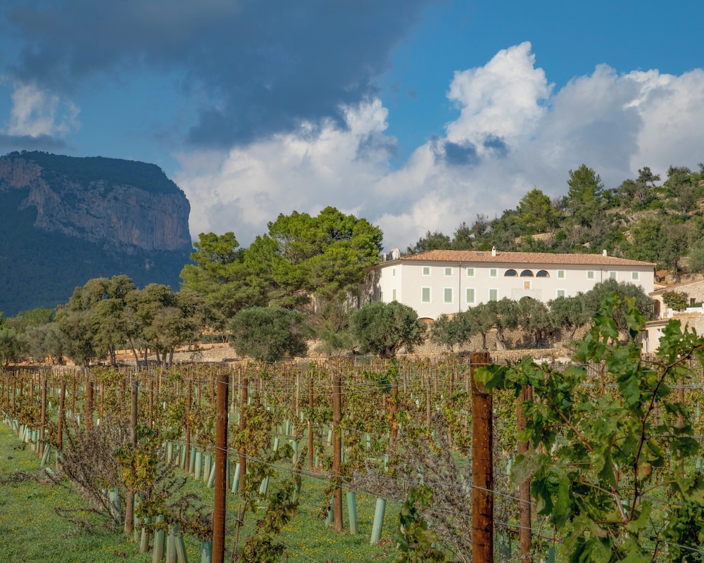 Finca Banyols Vignette Collection by IHG