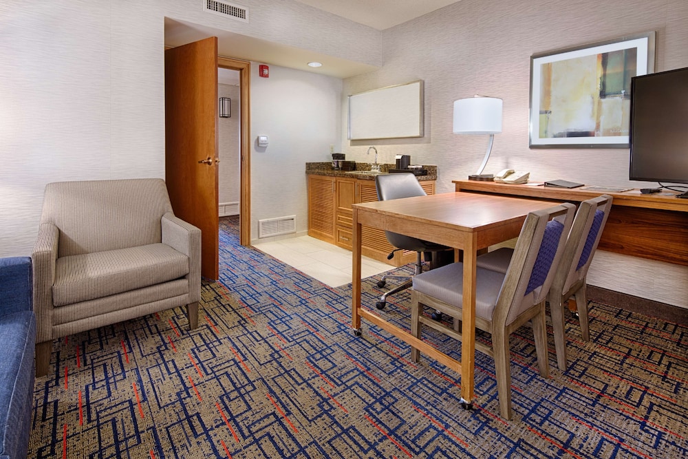 Embassy Suites by Hilton Chicago O'Hare Rosemont - photo 15