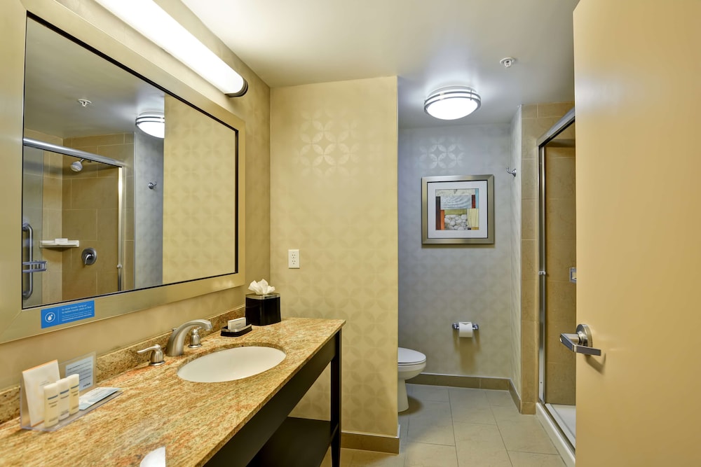 Hampton Inn & Suites Tampa Northwest Oldsmar - photo 24