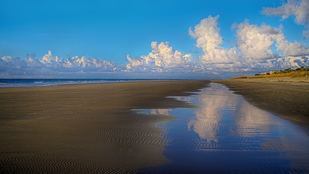 Disney's Hilton Head Island Resort - photo 44