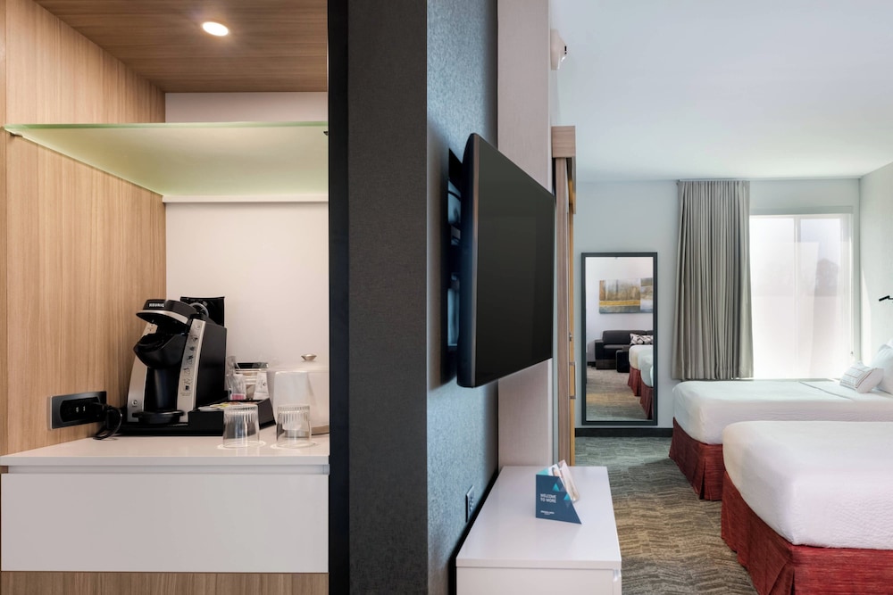 SpringHill Suites by Marriott Chattanooga South Ringgold GA - photo 11