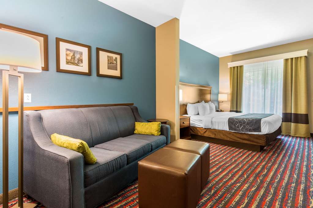 Comfort Suites Fairview Heights St. Louis - photo 18