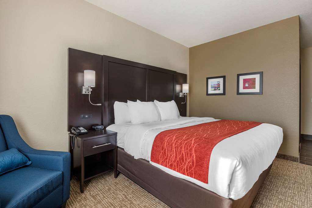 Comfort Inn & Suites Cedar Rapids CID Eastern Iowa Airport - photo 10