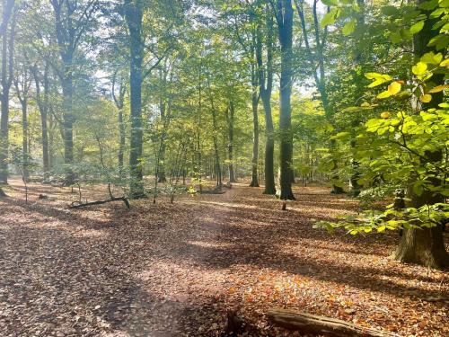 Elly’s Broekhuisje — Haarle — photo 4