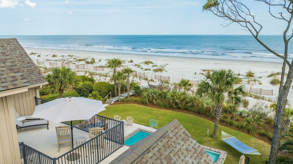 34 Surf Scoter at the Sea Pines Resort - photo 39