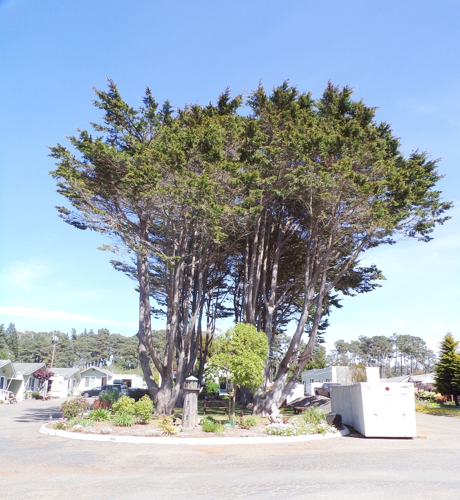 Shoreline Cottages - photo 54