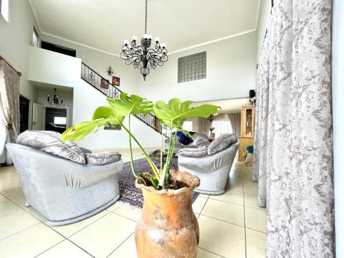 Coastal Beach Bliss in Unknown City, Namibia
