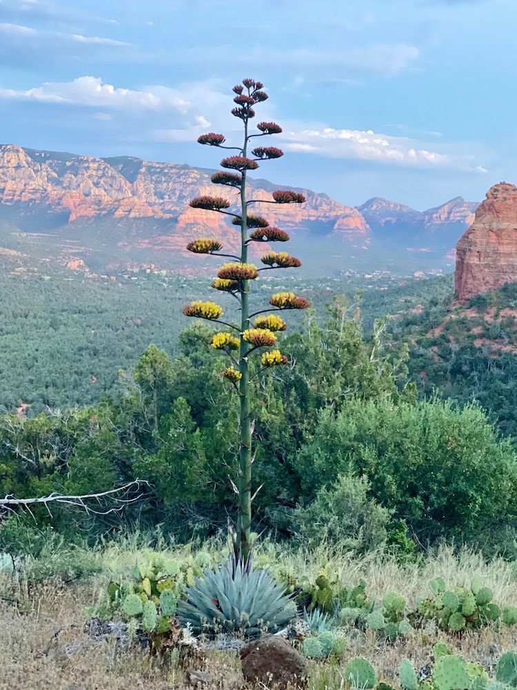 The Grand Canyon Headquarters - photo 23