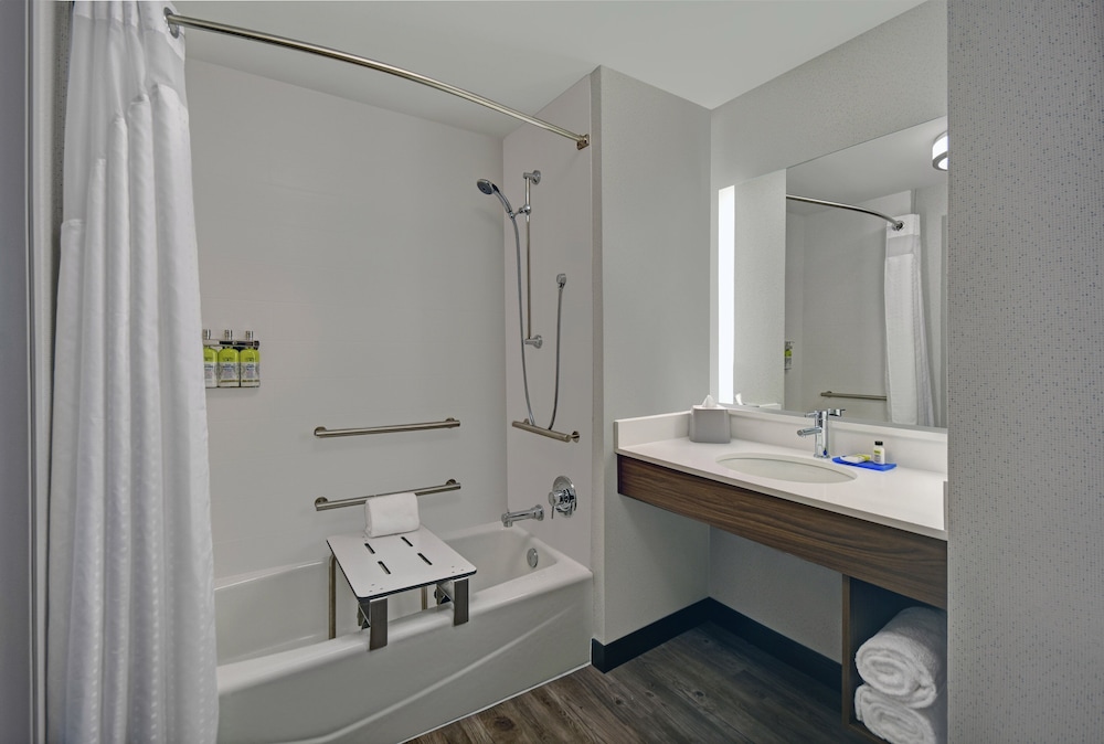 Holiday Inn Express Houston Galleria Area by IHG - photo 23