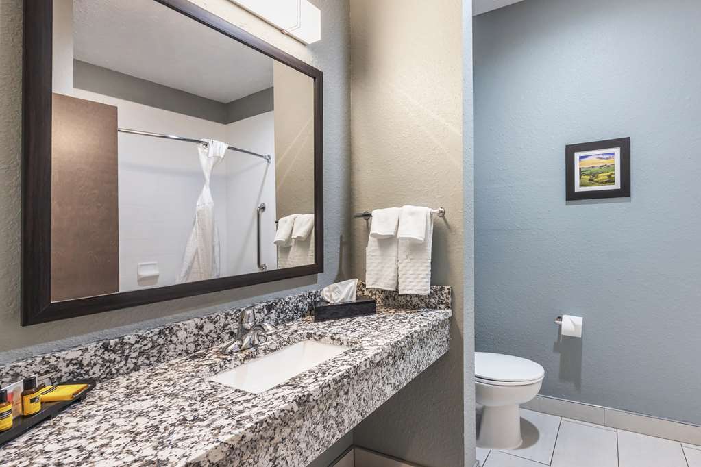 Best Western Plus Owensboro - photo 27