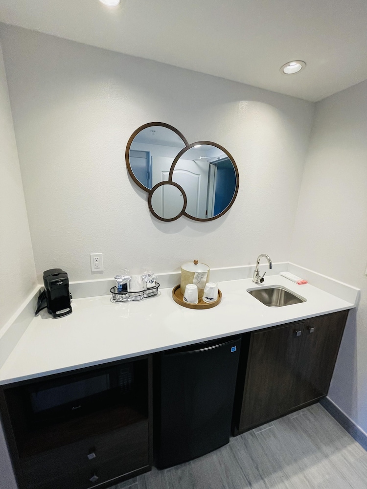Hampton Inn & Suites Sarasota Bradenton Airport FL - photo 49