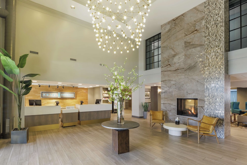 Hotel Trilogy Albany Airport Tapestry Collection by Hilton - featured photo