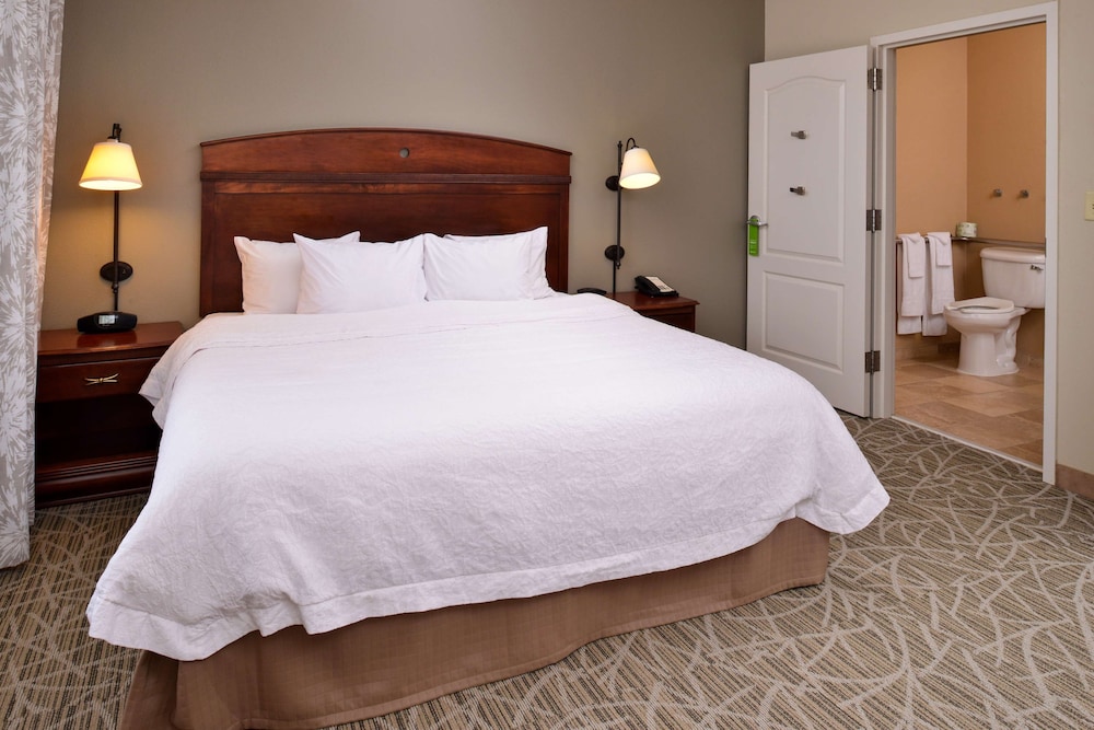 Hampton Inn by Hilton Litchfield - photo 6