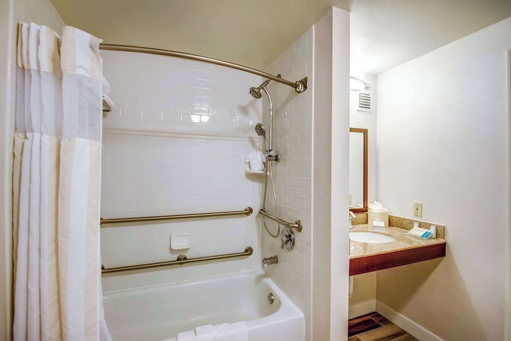 Hilton Garden Inn Tampa Ybor Historic District - photo 20