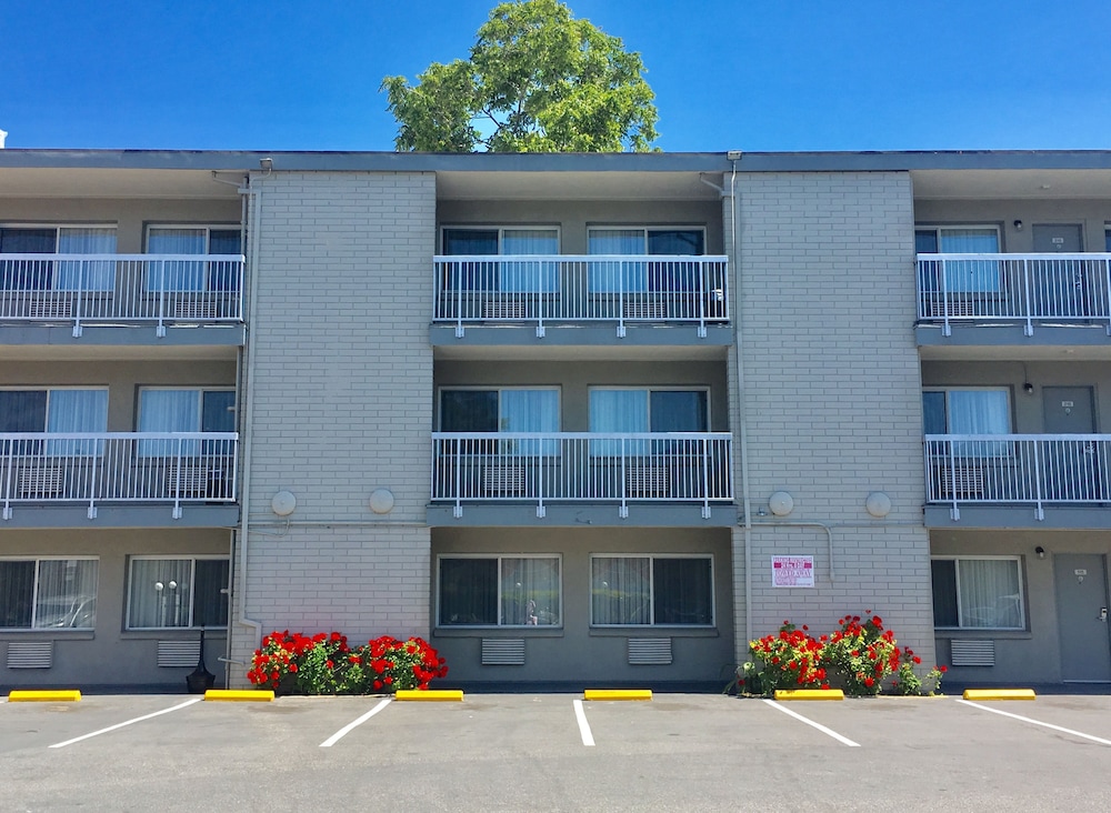 Pacific Motor Inn - photo 24