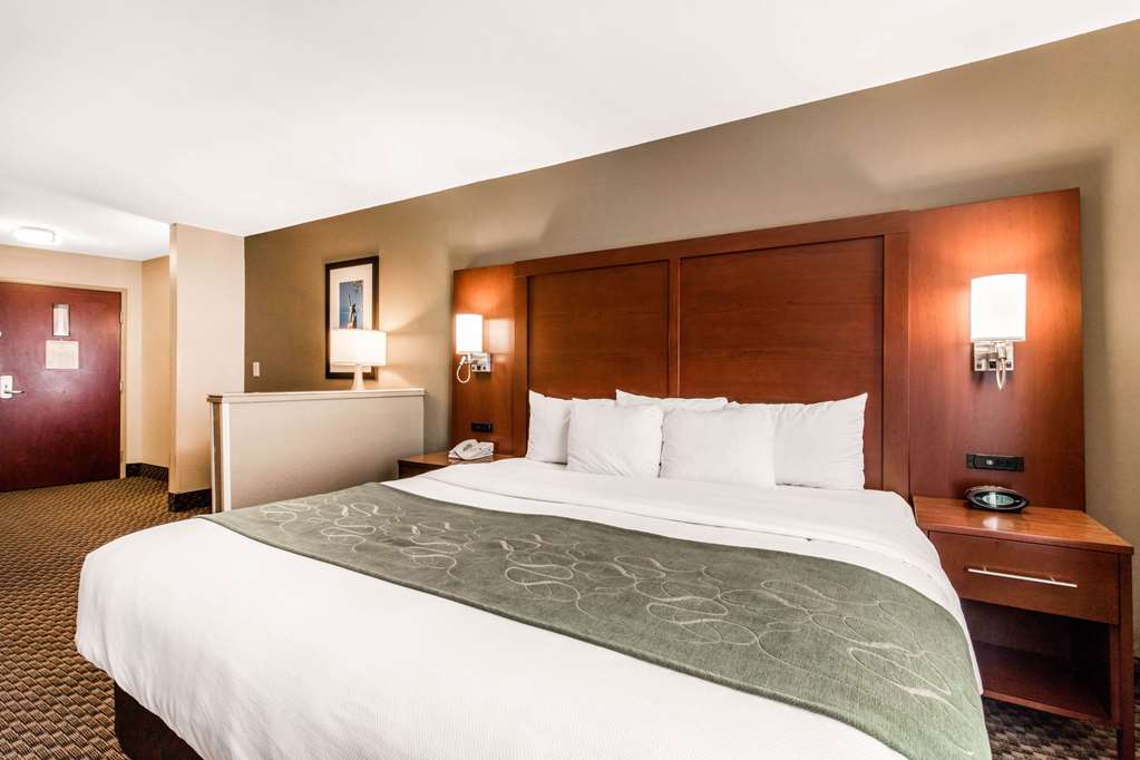 Comfort Suites Tuscaloosa near University - photo 11