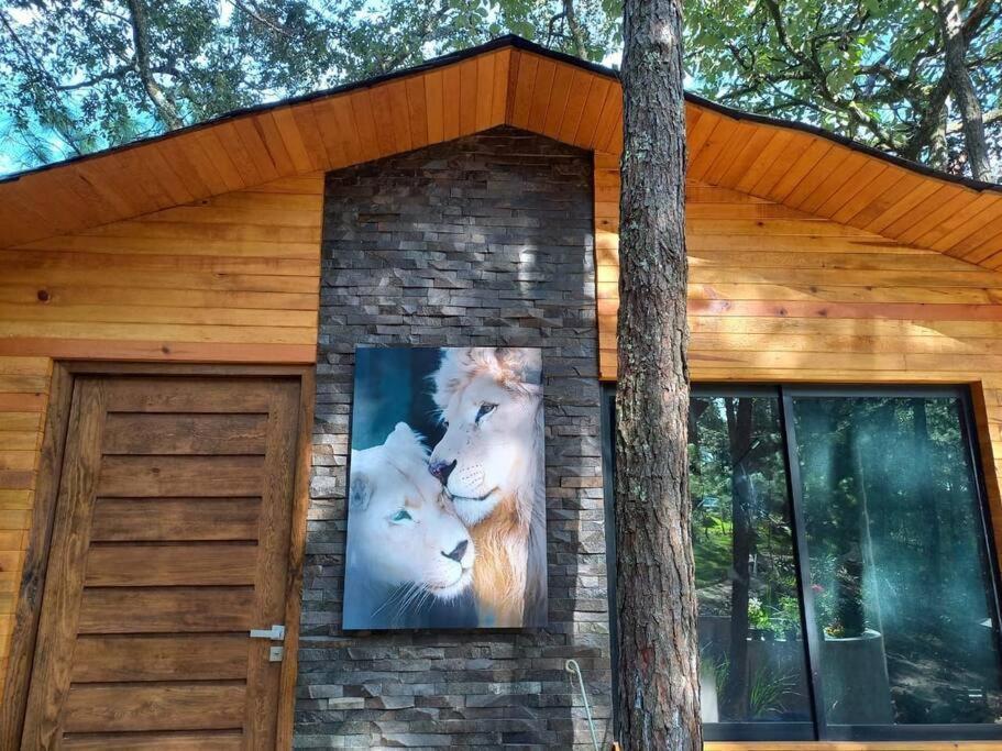 Cabaña Nala de lujo para parejas in Mazamitla, Mexico