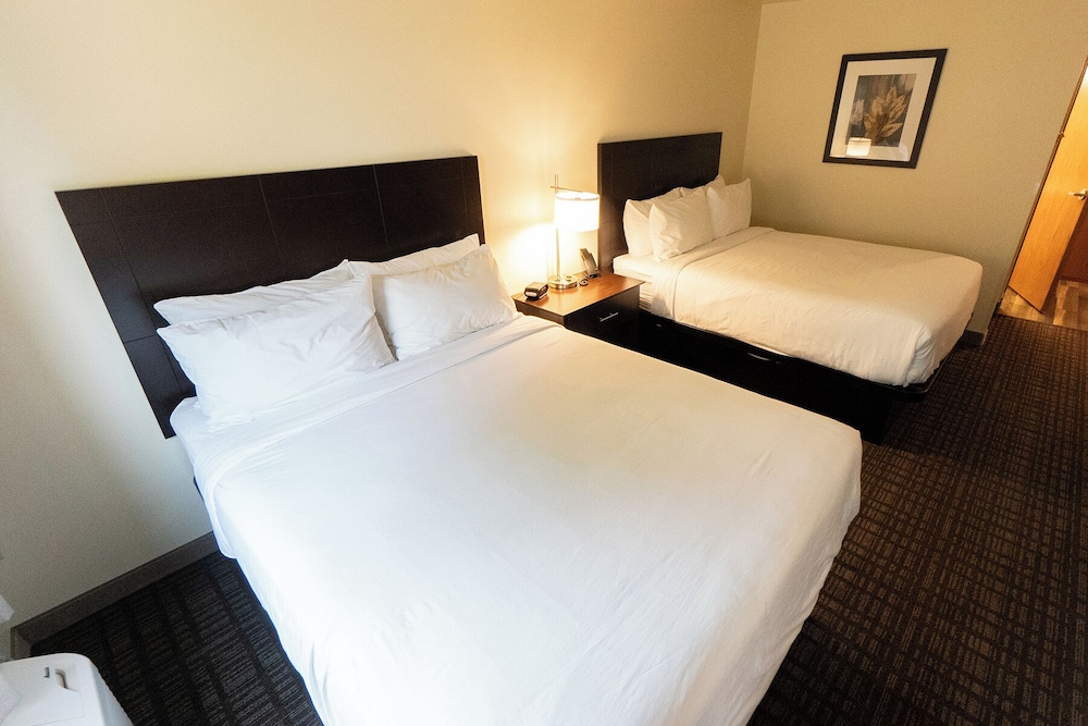 Cobblestone Inn & Suites Sheldon - photo 18