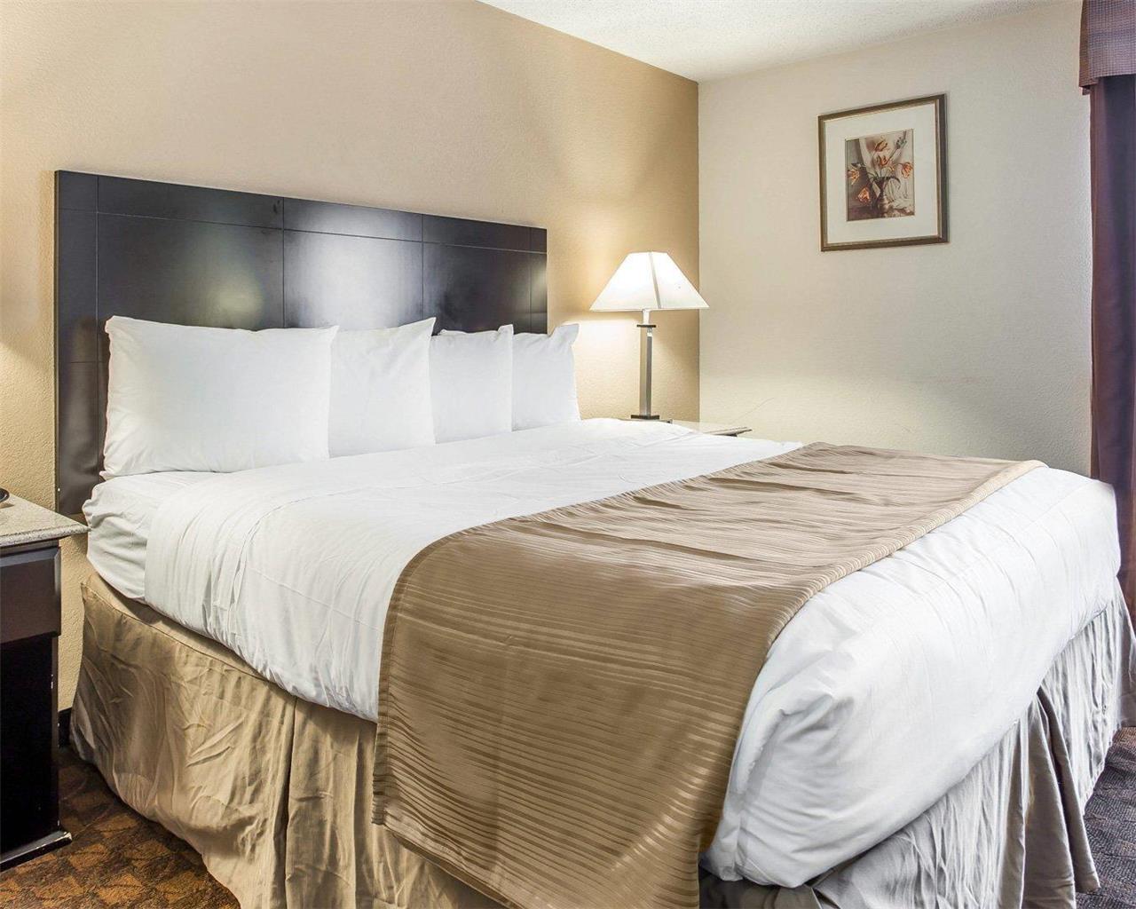 Quality Inn & Suites Coliseum - photo 15