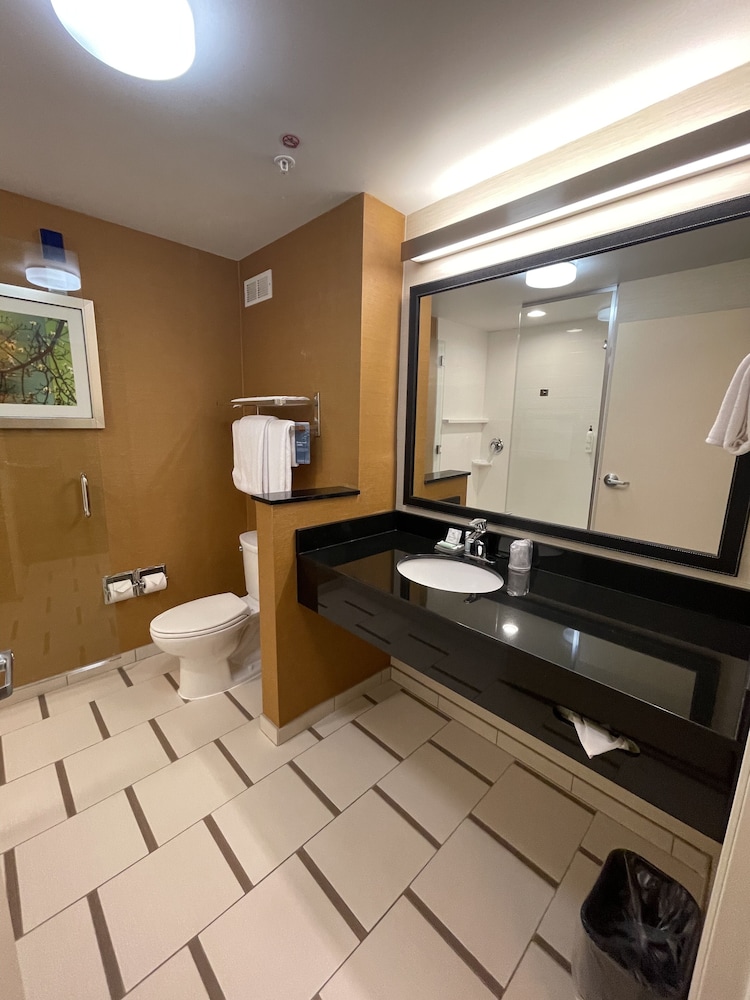 Fairfield Inn & Suites Athens - photo 12