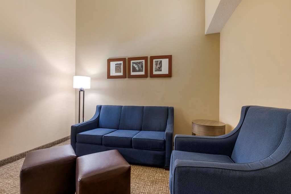 Comfort Suites DFW Airport - photo 18
