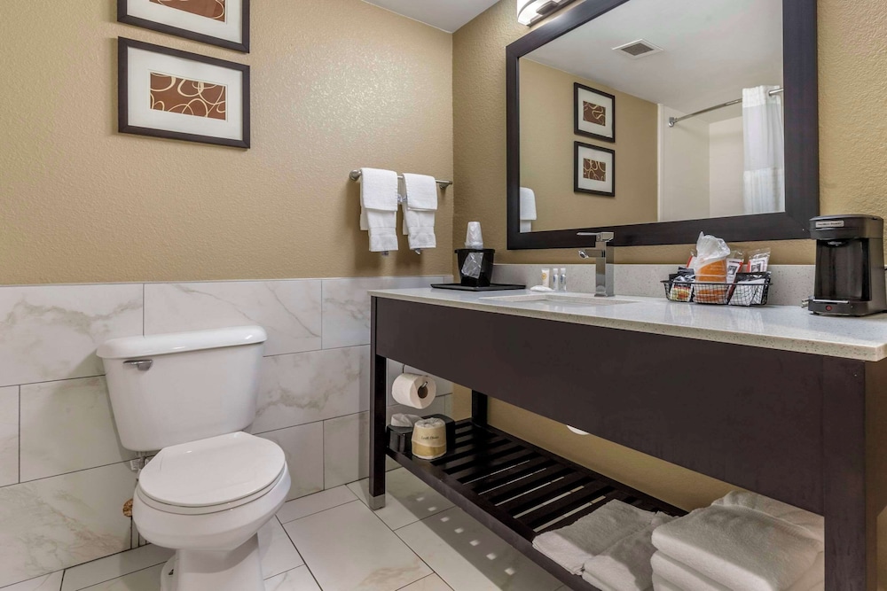 Comfort Inn & Suites Mocksville I 40 - photo 18