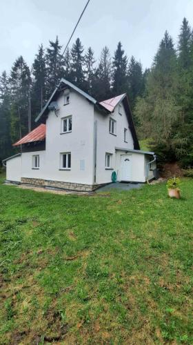 Dum U Lesa Nove Hamry — Karlovy Vary