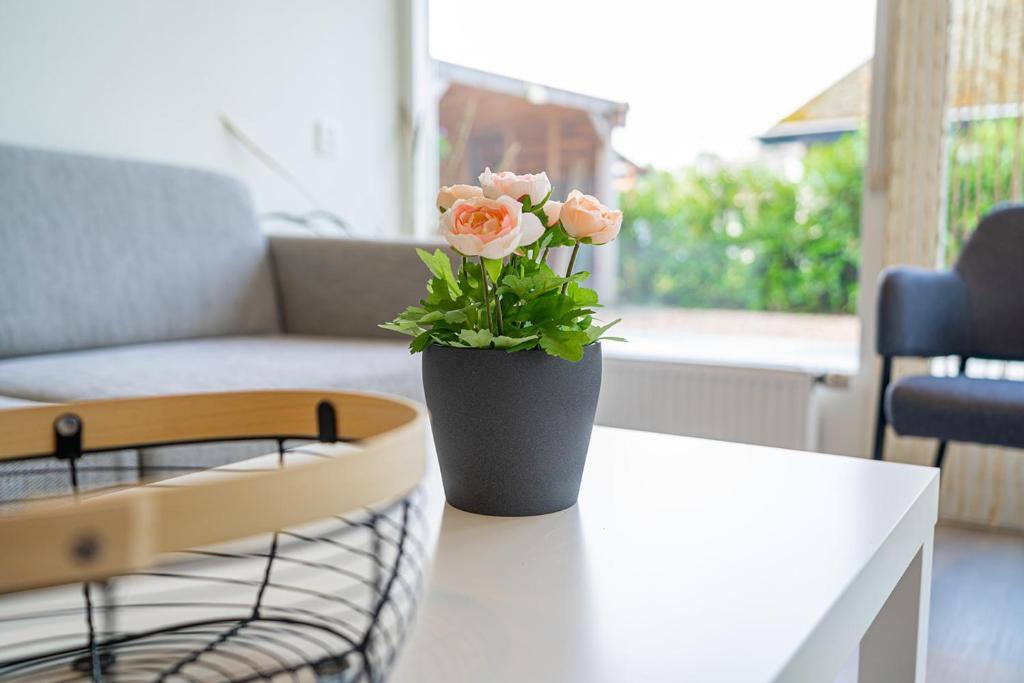 Toekomst 27 Ouddorp Not Intended For Company Or Work Related Stays — Ouddorp