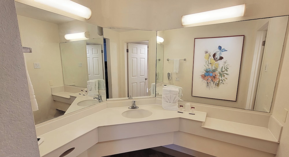 Flex Studios Culebra - photo 20