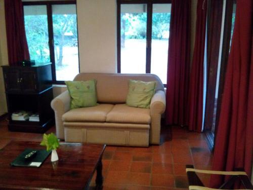 Heuglins in White River, South Africa