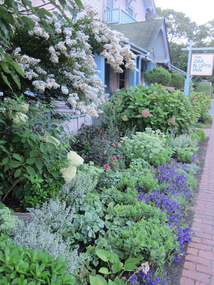 The Oak Bluffs Inn - photo 33
