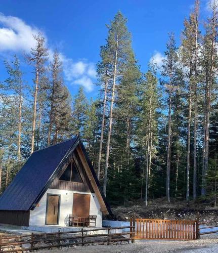 Pine Retreat — hotel in Zabljak