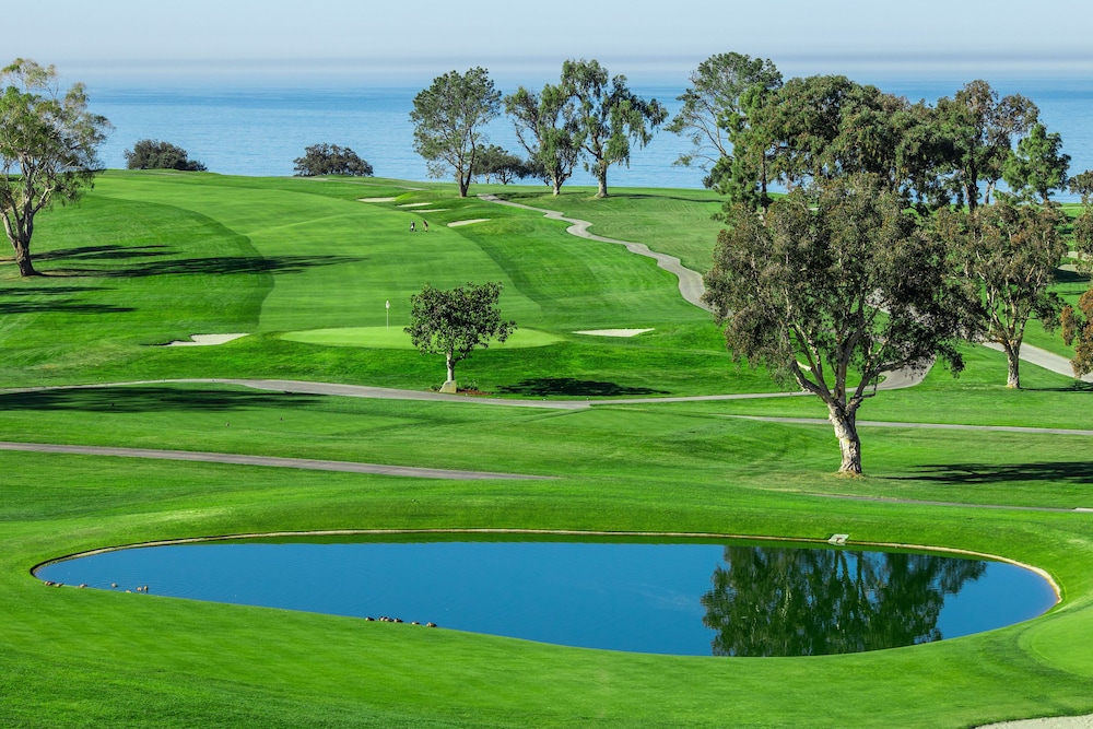 The Lodge at Torrey Pines - photo 64