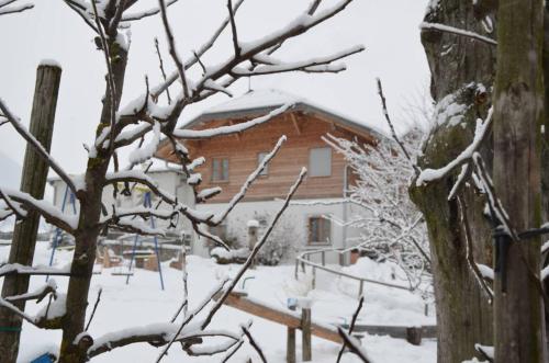 Ortnerhof — Gais — photo 2