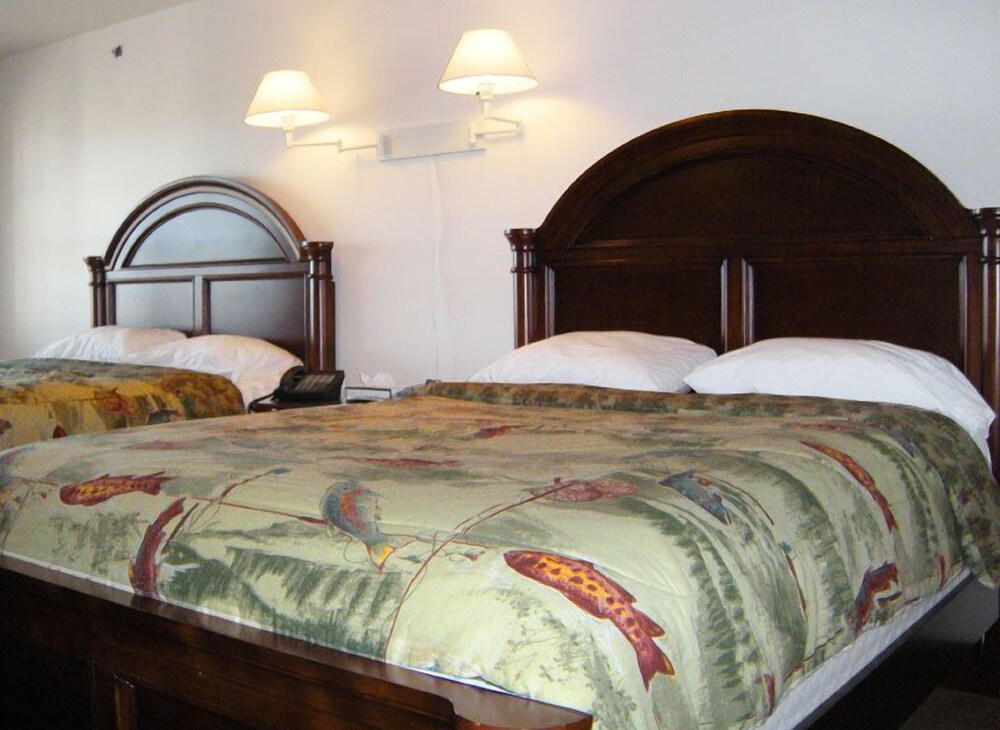 Shore Stay Suites - photo 5
