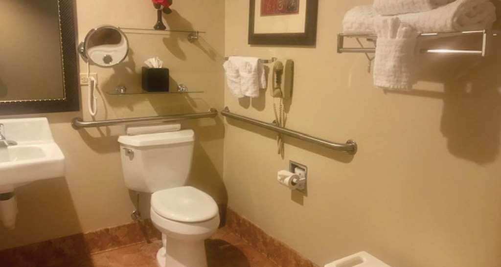 Best Western Plus Deer Park Hotel & Suites - photo 15